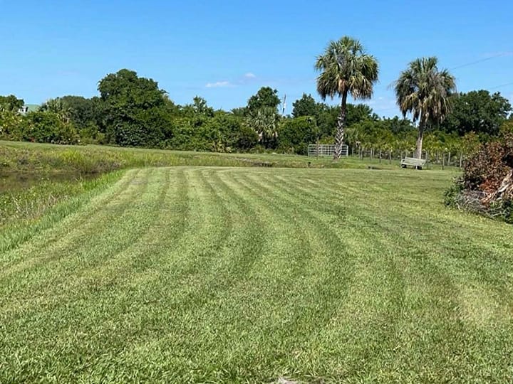 Large, freshly mown lawn of a Serenescapes Services  customer in Punta Gorda, FL.