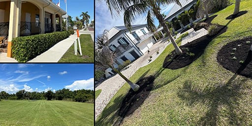 Punta Gorda Lawn & Landscaping Services