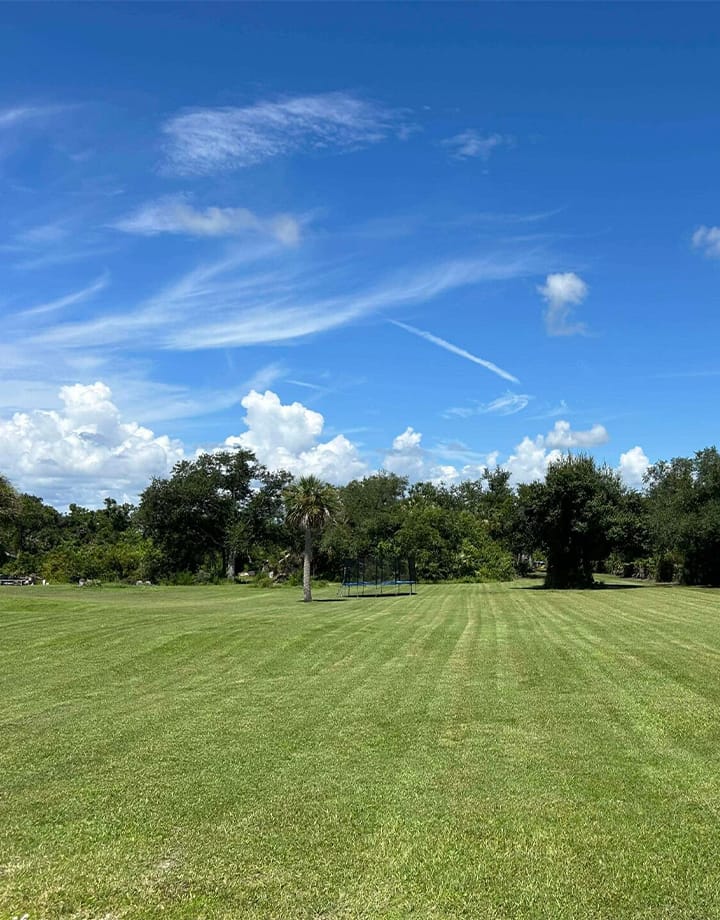 Very large, freshly mowed lawn in Punta Gorda, FL.